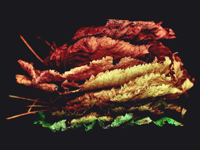 超现实主义<br>kclfxfu.cn 达利融化的钟